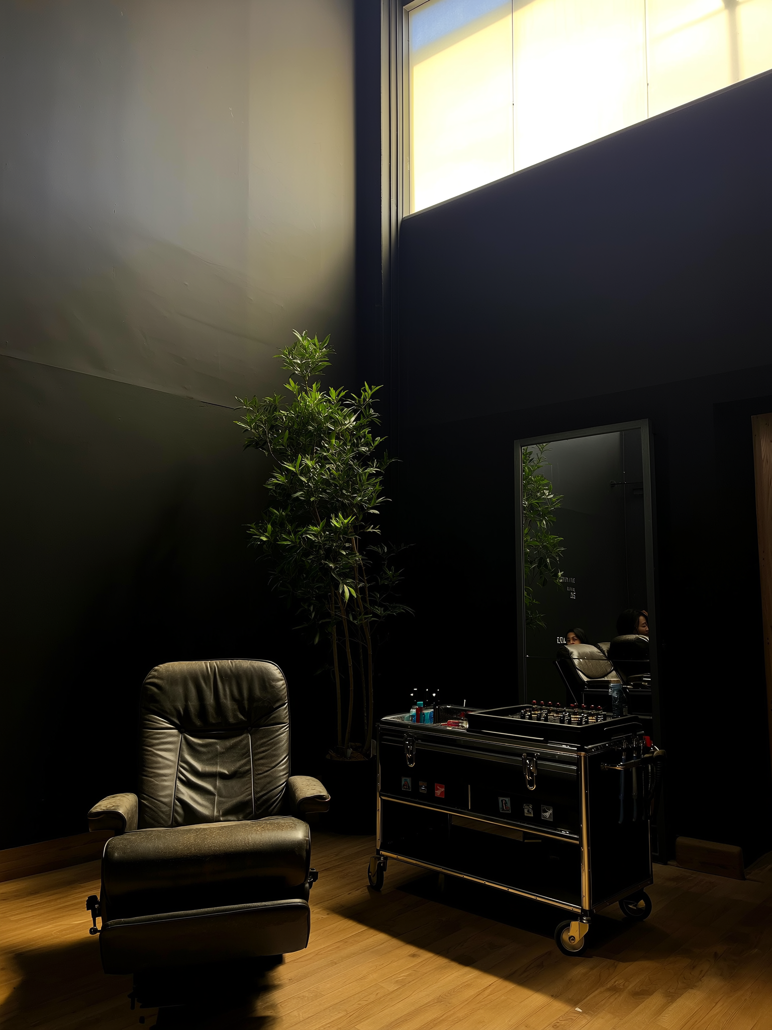 Rustige hoek van de studio met een plant, de wachtstoel en de inktkar.